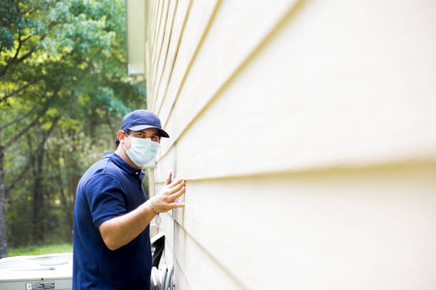 Best Stucco Siding  in Kearney, MO